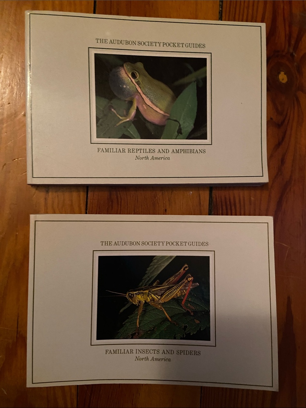 2 Vintage Nature Pocket book FROG Reptiles Amphibian Reptile Insects Insect LEAF
